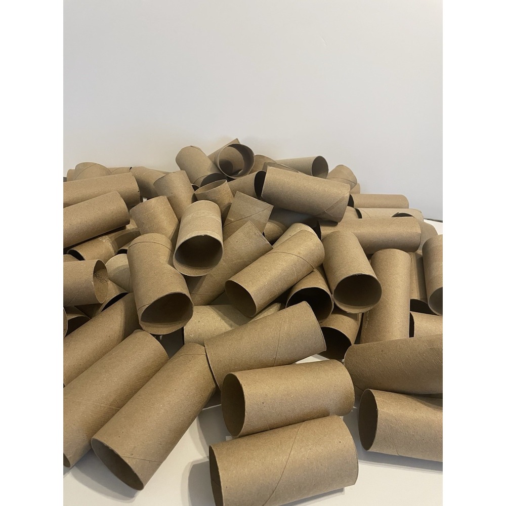100 Clean Empty Toilet Paper Rolls Cardboard Tubes for Art Craft DIY Projects